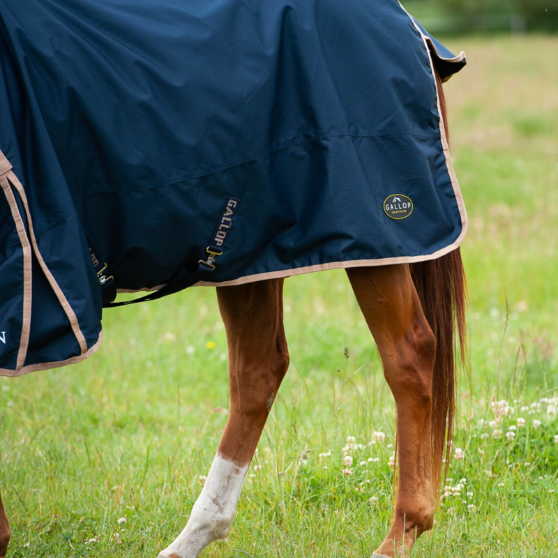 Gallop Trojan Combo 100gm Turnout Rug in Navy/Beige-3